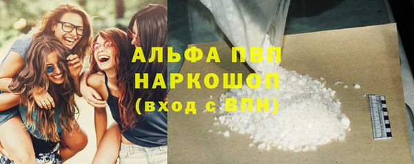 сатива Абинск