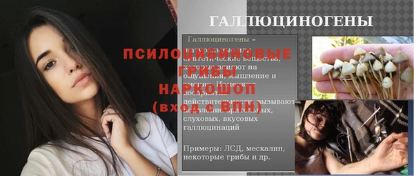 сатива Абинск